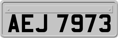 AEJ7973