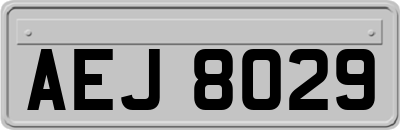 AEJ8029