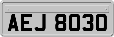 AEJ8030