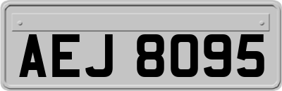 AEJ8095