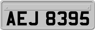 AEJ8395