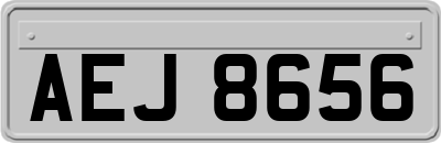 AEJ8656