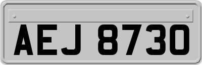 AEJ8730