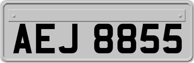AEJ8855