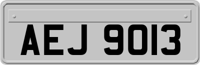 AEJ9013