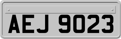 AEJ9023