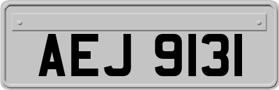 AEJ9131