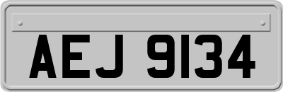 AEJ9134