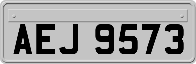 AEJ9573