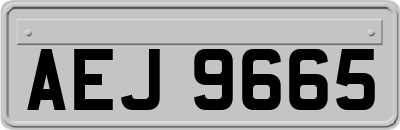 AEJ9665