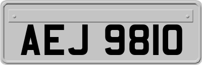 AEJ9810