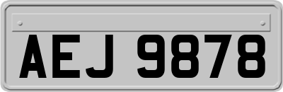 AEJ9878