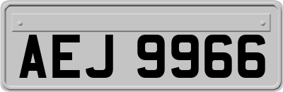 AEJ9966