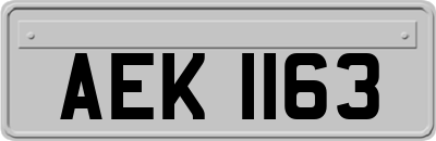 AEK1163