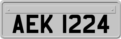 AEK1224