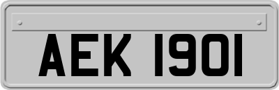 AEK1901