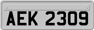 AEK2309