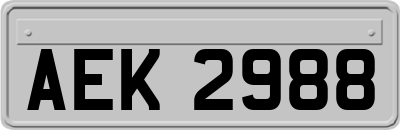 AEK2988
