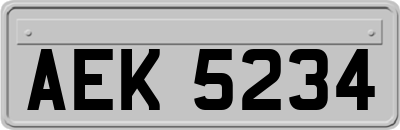 AEK5234