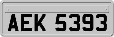 AEK5393
