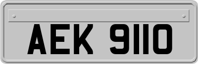 AEK9110