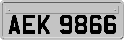 AEK9866