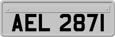 AEL2871