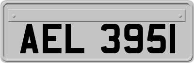 AEL3951