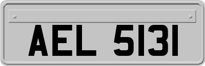AEL5131