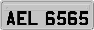 AEL6565