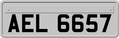 AEL6657
