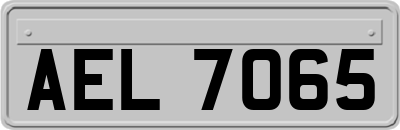 AEL7065