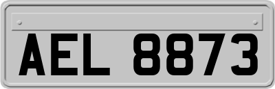 AEL8873