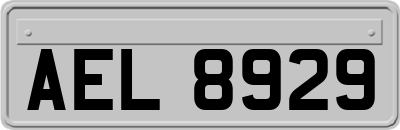 AEL8929