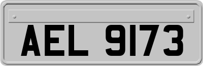 AEL9173