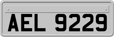 AEL9229