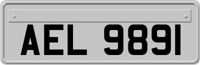 AEL9891