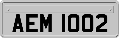 AEM1002