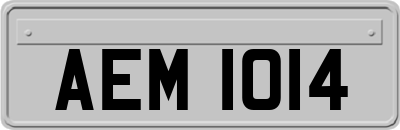 AEM1014