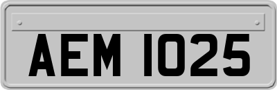 AEM1025