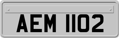 AEM1102