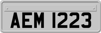 AEM1223