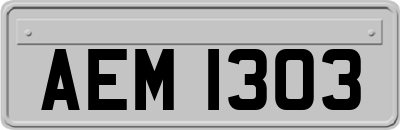 AEM1303