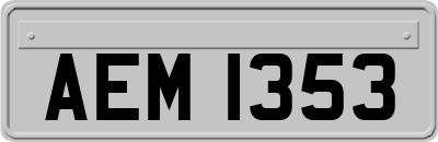 AEM1353