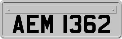 AEM1362