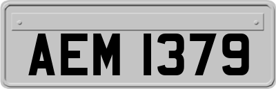 AEM1379