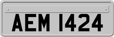 AEM1424
