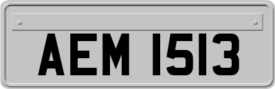 AEM1513