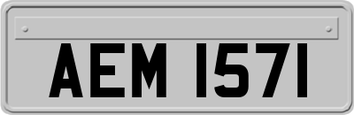 AEM1571
