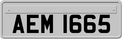 AEM1665